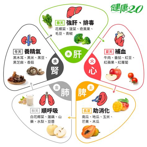 五行食物表|藥補不如食補！吃這『五色』食物養五臟